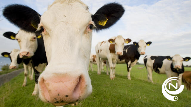 Heeft PFOS ons voedsel verontreinigd? Landbouwers willen snel duidelijkheid
