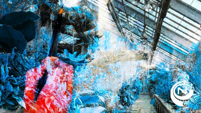 kOsh Herentals kleurt STORMLoop : verrassende artistieke wereld rond het thema ‘blauw’