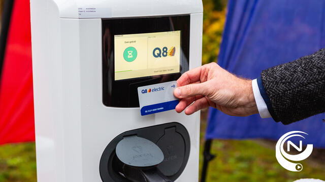 Raad van State scherp voor Vlaamse premie voor aankoop elektrische wagens