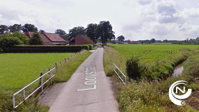 Vervanging bruggen Looystraat