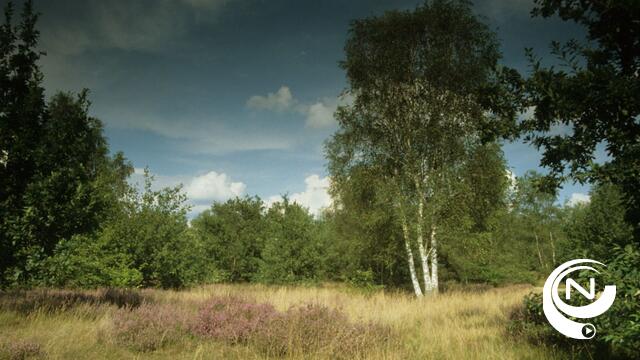Inrichtingswerken in natuurgebied Lovenhoek
