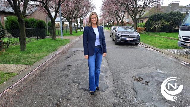 Marianne Verhaert  : 'Nodige asfaltengswerken Herenthoutse steenweg, Berkendreef, Pallieterdreef en Sperwerlaan: rijbaan onderbroken van 8 tot 11/4 