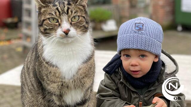 Blij, boos of chagrijnig? Het gezicht van je kat vertelt je meer dan je denkt