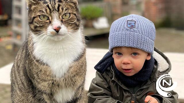 Fire Crew Hertals : heerlijke spaghettidag voor goede doelen rond dierenwelzijn - dit weekend