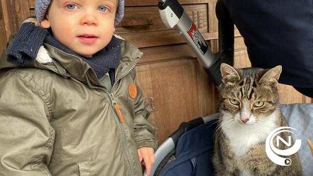 HZP-wandeling succes op zomerse herfstdag : 'Herentalse Zwerfpoezen vzw met een missie 24/24'