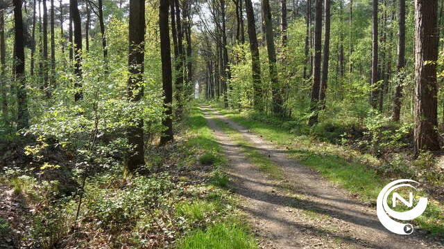 Dunningswerken zorgen voor weinig of geen overlast in Merodebossen