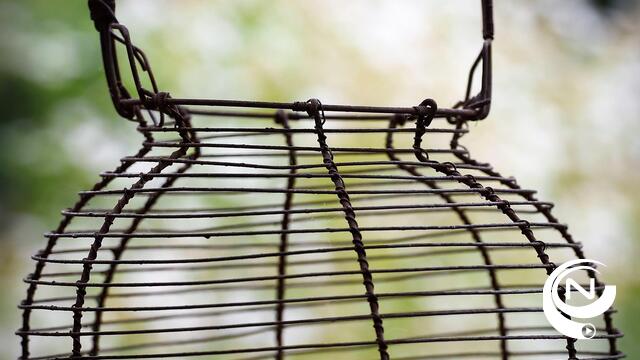 Eiercrisis : Nederlandse zaakvoerders Chickfriend langer vast