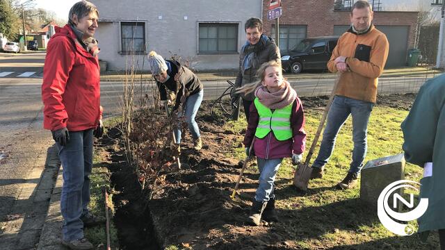 Buurtbewoners zetten eerste plantjes op 'de Groene Wij' in Gompel