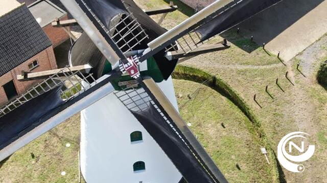 Lilse molen 'In Stormen Sterk' breidt uit met bakhuis en authentieke oven - oproep vrijwilligers
