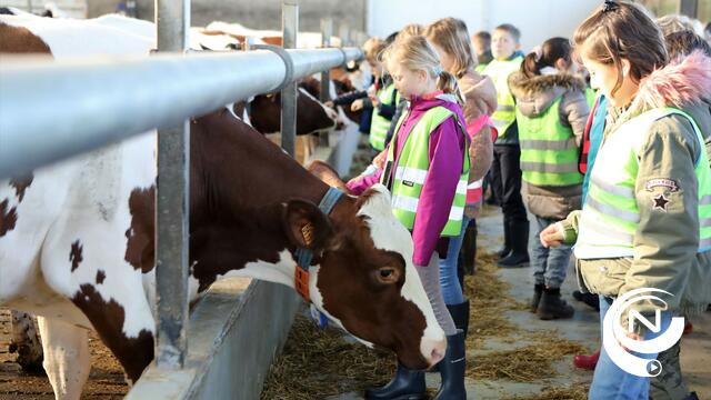 237 Molse kinderen op schooluitstap naar landbouwbedrijf