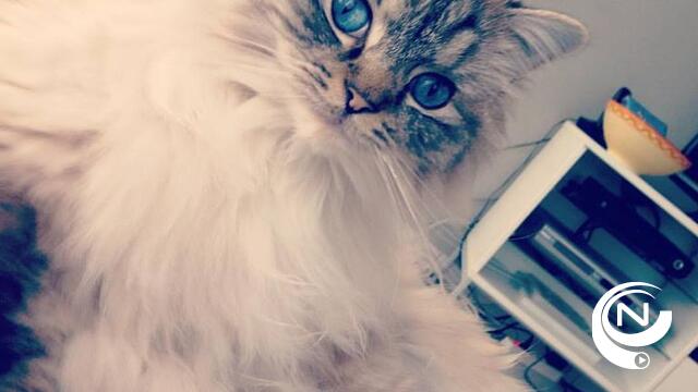 Mona Big Boss
