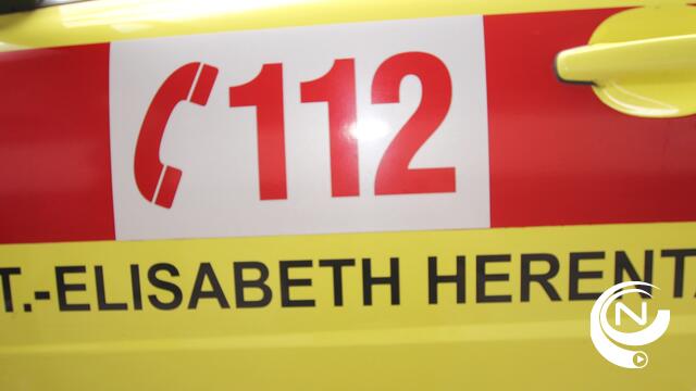 E313 : ongeval met vrachtwagen, lange files