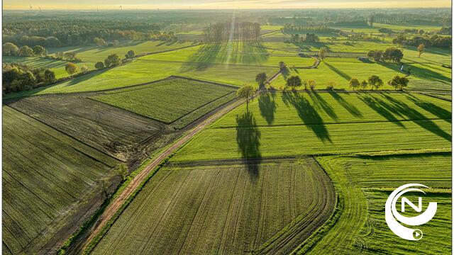 Kempen natuur 