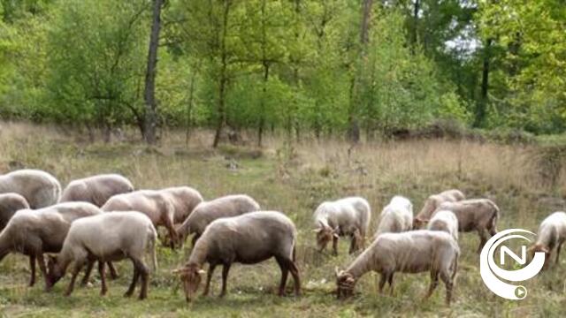  Minister Schauvliege erkent Tikkebroeken 10 ha natuurgebied van Natuurpunt in Kasterlee