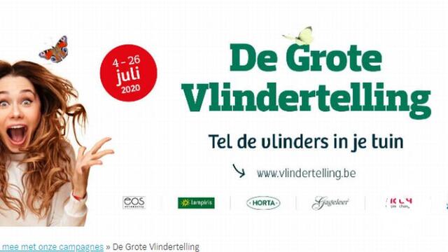 Natuurpunt : 'Grote activiteiten tot eind augustus afgelast - vlinderactiviteit gaat door'