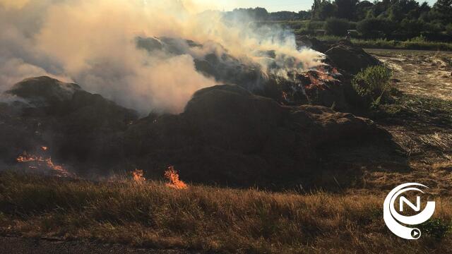 Natuurbrand aan Netedijk op grens Nijlen-Lier, grasbrand jachthaven Emblem