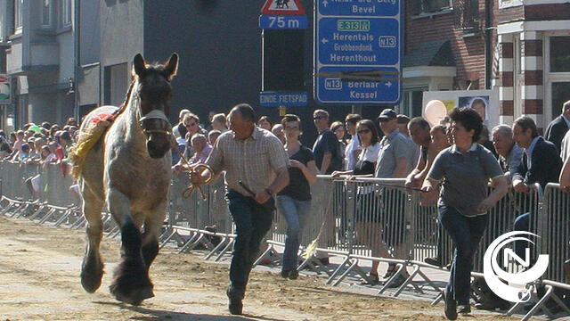 Nijlen Jaarmarkt kan gewoon doorgaan 