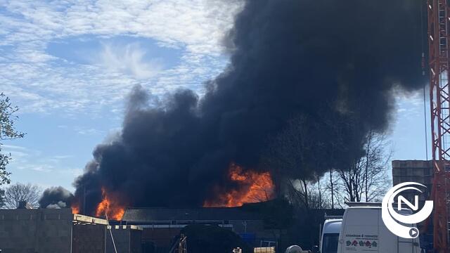 Uitslaande loodsbrand aan Beenderstraat Nijlen: niemand gewond