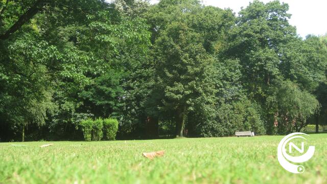 Heraanleg groot grasveld 't Hofke