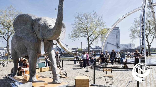 Openingsfeest cc ’t Schaliken met 'open-olifant' en veel extra moois