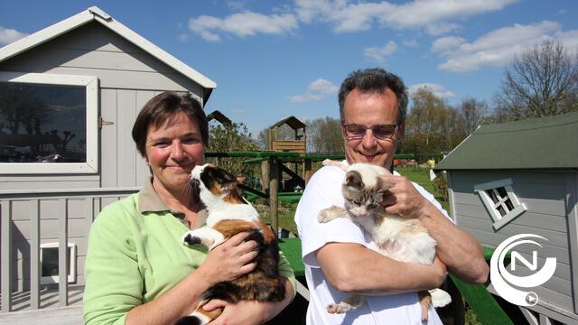 Dierenthuisje Geel ten Aard met opendeurdag nu zondag  2/8