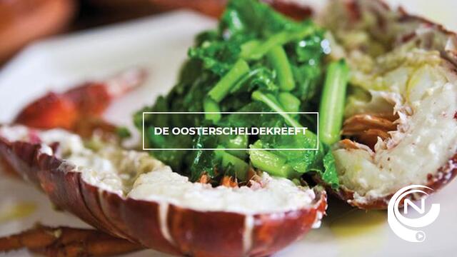 Start kreeftenseizoen zonder feestelijkheden