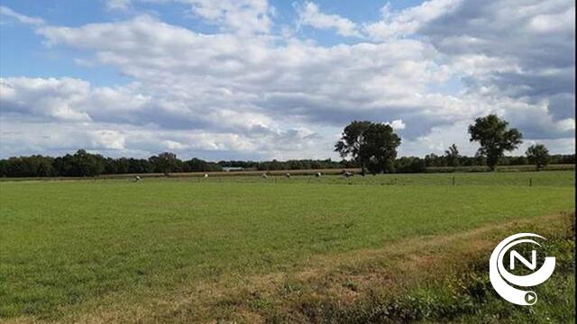 Plattelandssubsidies bieden antwoord op coronacrisis