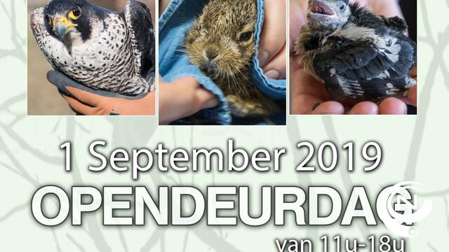 Opendeurdag VOC Neteland vzw