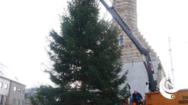 Reuze kerstboom siert Grote Markt Herentals 
