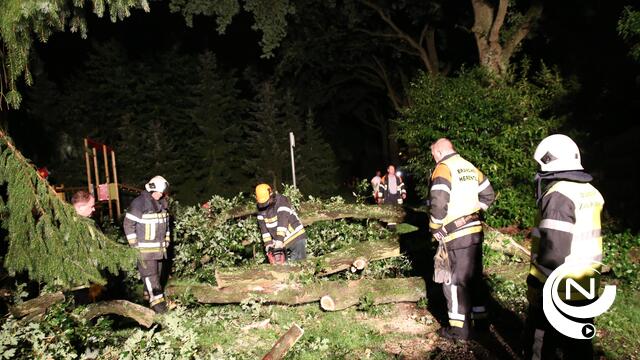 Windhoos kraakt oude eiken in Kapittelbossen-Wijngaard, geen gewonden
