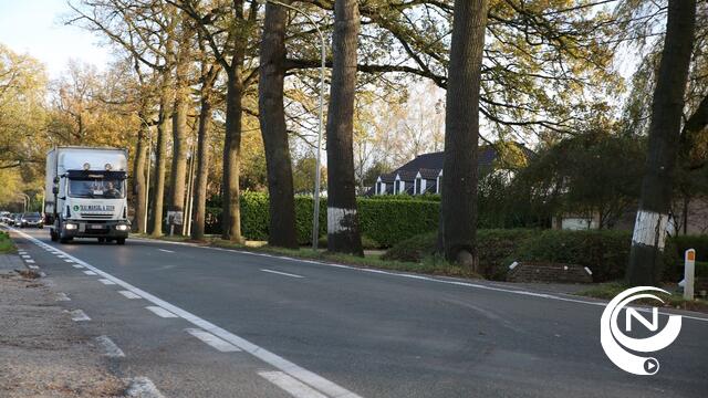 Bomen tussen Grobbendonk en Herentals worden half september gerooid (N13)