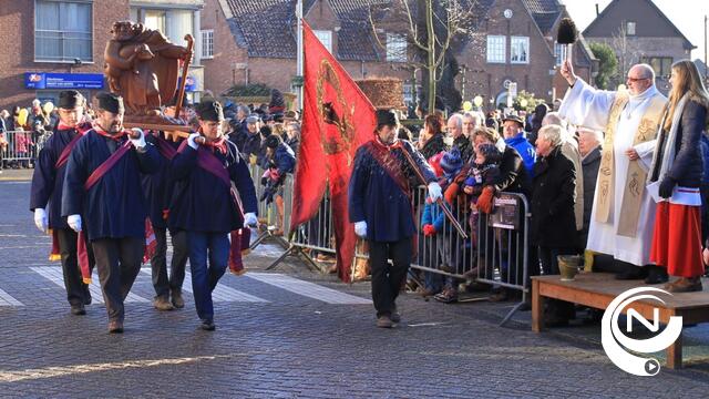 Zonovergoten Lilse jaarmarkt met paardenzegening en verkoop varkenskoppen - extra foto's