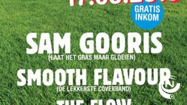 Parkfeesten in gemeentepark 