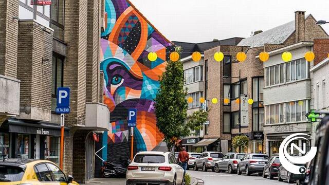 'Provincie wil meer dynamische winkelstraten'