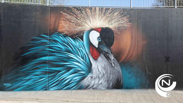 Graffitiwerk fietstunnels genomineerd voor prestigieuze award. Stem jij mee?