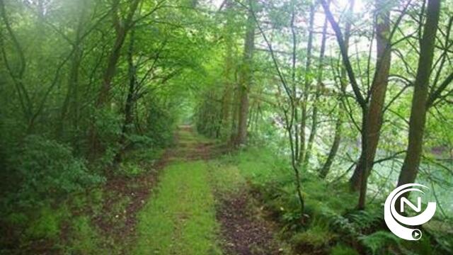 Philipsbos uitgedund om stabiliteit en kwaliteit van het bos te verbeteren