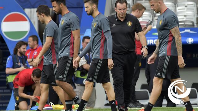 Rode Duivels: 'Na Zweedse balletjes, Hongaarse goulash?'