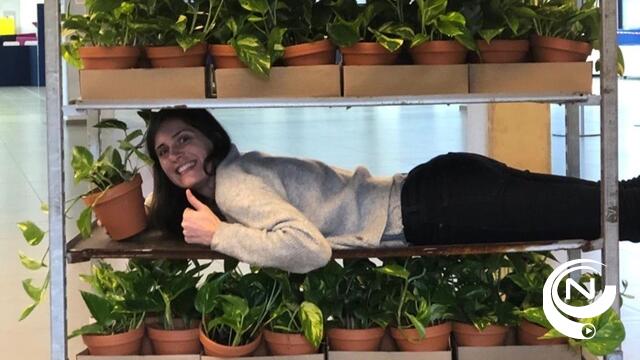 Planten voor studentenkamers
