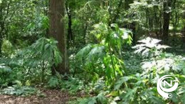 Groene long rond Begijnhof wordt Begijnhofpark 