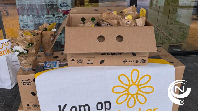 1.360 plantjes, €13.600 voor goede doel: Herentals, Noorderwijk en Morkhoven tonen hun groot hart