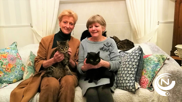 De Geknipte Kat en de poezenmoeders : boeiende tentoonstelling in Bib