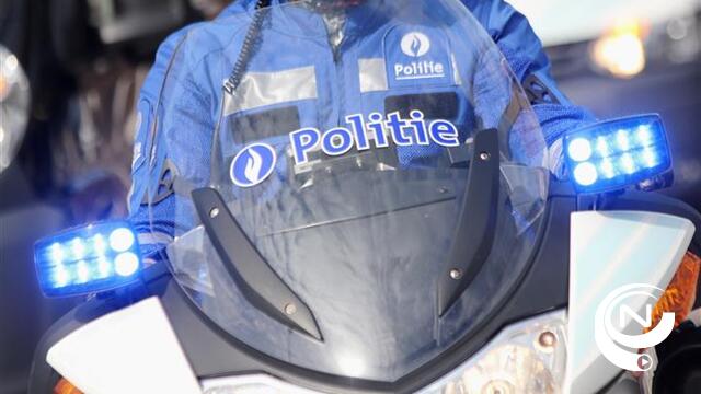 Poolse winkeldievegge loopt tegen de lamp in Carrefour Westerlo 