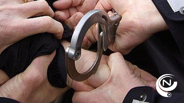 Agent schiet inbreker neer in Lier 