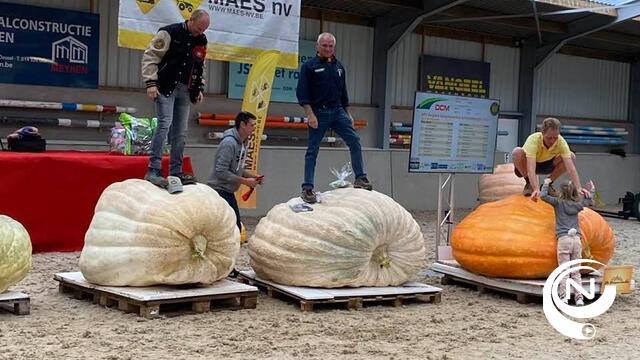 Pompoenmarkt zoekt standhouders