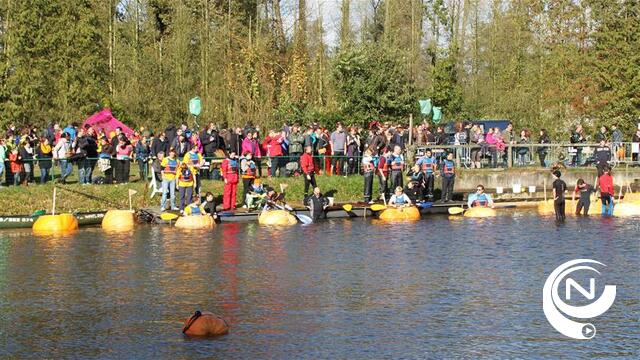 2.500 toeschouwers trotseren slechte weer voor pompoenregatta in Ark van Noë