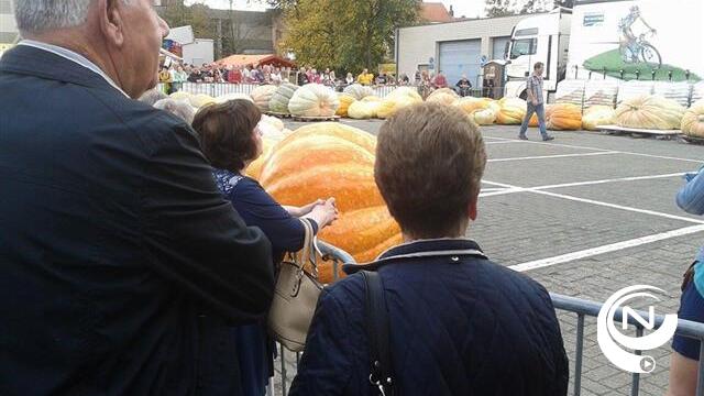 Zwaarste pompoen weegt 800 kg, 15.000 bezoekers op zilveren Pompoendag