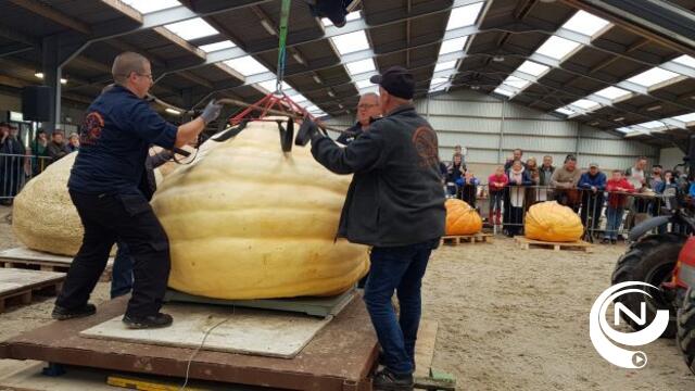 Luc Vanheuckelom blijft PompoenKeizer in z'n Kasterlee : 1.046 kilo