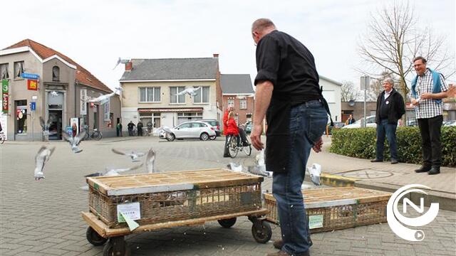 Trage post en duiven op gezellige Erfgoeddag Kasterlee