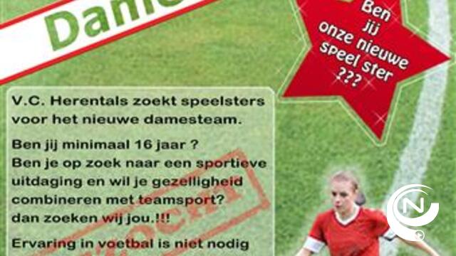 VC Herentals Flames zoeken toffe speelsters voor nieuwe damesteam 