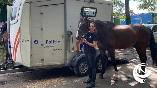 Politie kijkt tevreden terug op Reggae Geel